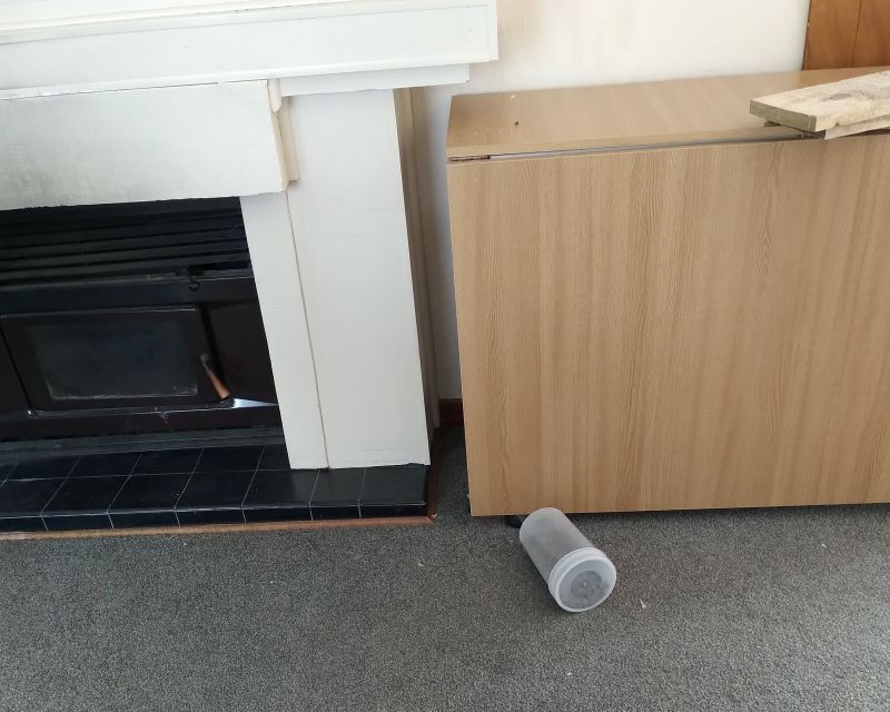 The reappearing container of dog food